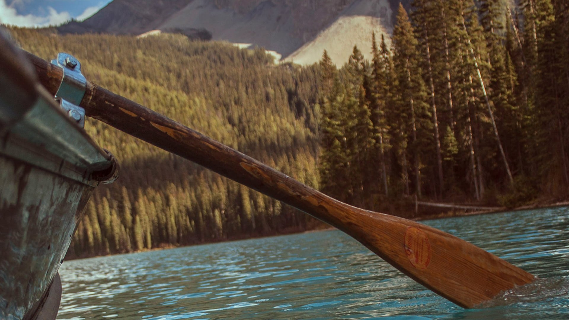 What we Learn About Ourselves from the Boys in the Boat.