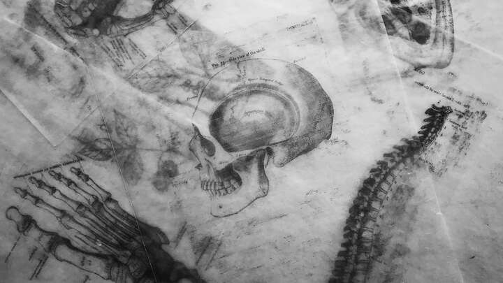 Anatomy of a Bestseller.