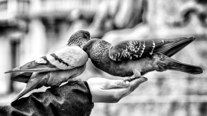 How a Community of One Grows to Include More