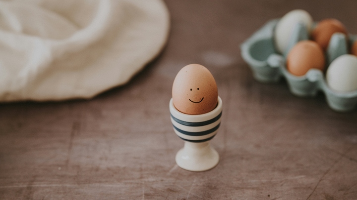 Cooking With Sharks.