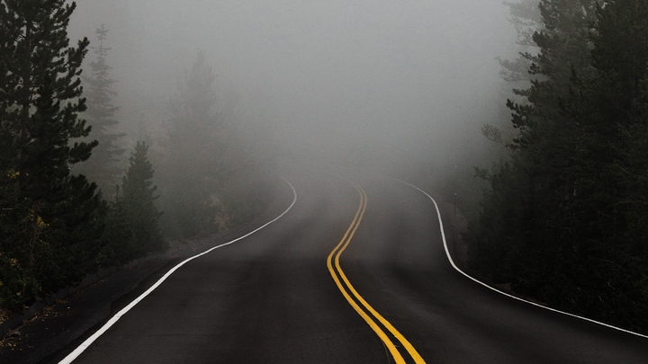 The Curse of Texting and Driving.