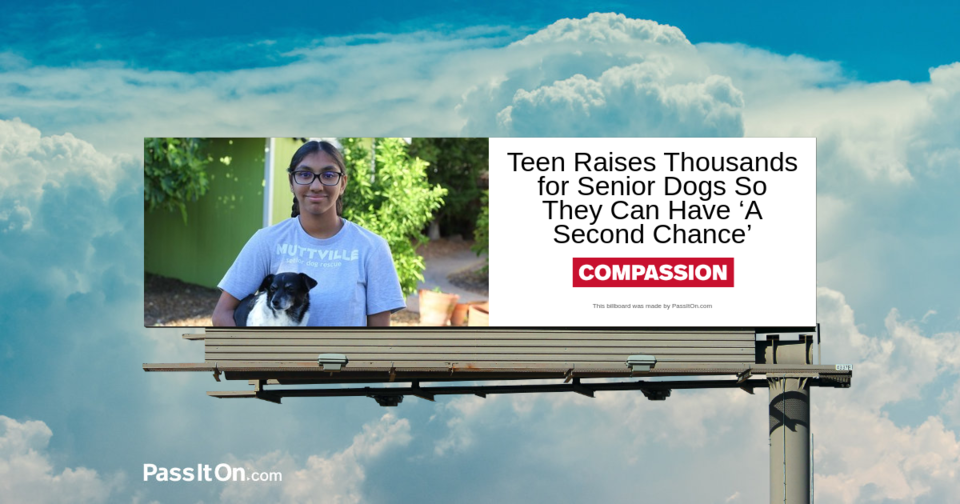Teen Raises Thousands for Senior Dogs So They Can Have ‘A Second Chance’ 
