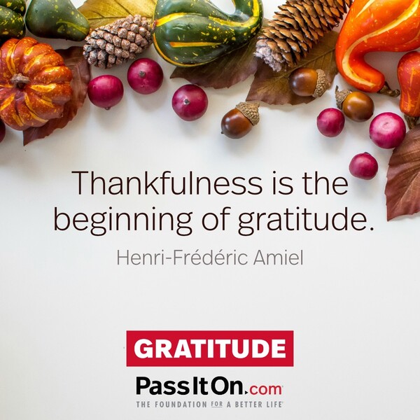 Thankfulness is the beginning of gratitude. #<Author:0x00007fcdfbed6b80>