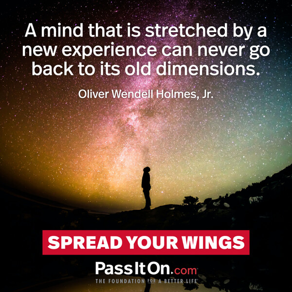 A mind that is stretched by a new experience can never go back to its old dimensions. #<Author:0x00007fcdfa7cb698>