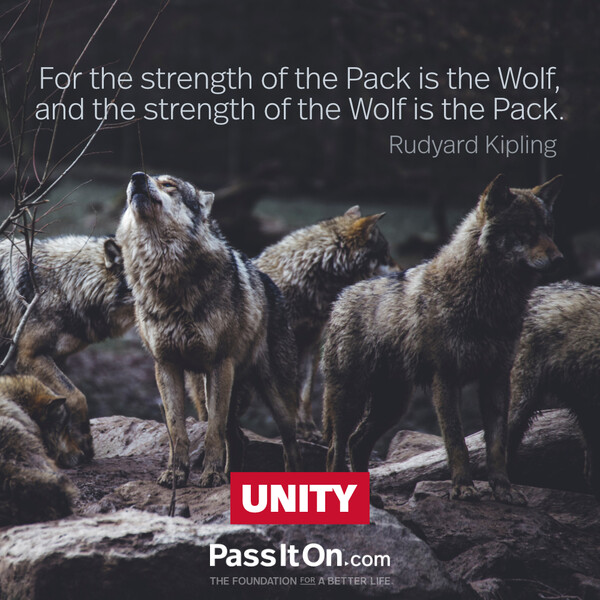 For the strength of the Pack is the Wolf, and the strength of the Wolf is the Pack.  #<Author:0x00007fcdfb6a1190>