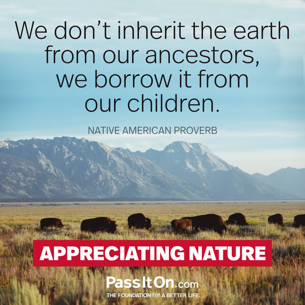 We do not inherit the land from our ancestors, we borrow it from our children.  #<Author:0x00007fcdfbda7318>