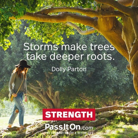 Storms make trees take deeper roots. #<Author:0x00007fcdf9f049d8>
