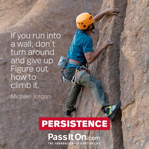 If you run into a wall, don't turn around and give up. Figure out how to climb it. #<Author:0x00007fcdfbd98840>