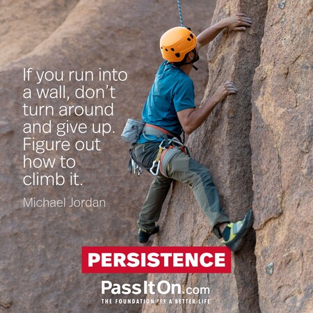 If you run into a wall, don't turn around and give up. Figure out how to climb it. #<Author:0x00007fce080e9100>