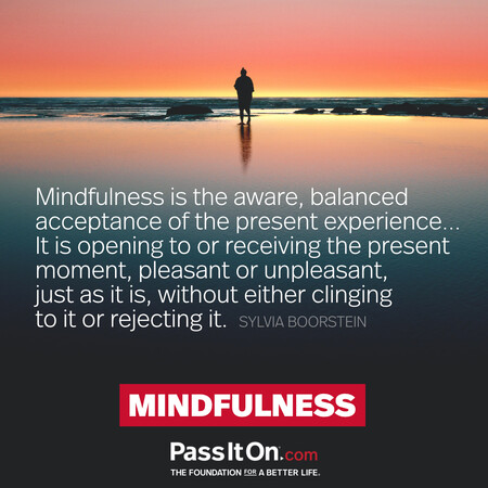 Mindfulness is the aware, balanced acceptance of the present experience... It is opening to or receiving the present moment, pleasant or unpleasant, just as it is, without either clinging to it or rejecting it. #<Author:0x00007fcdfbc4a3d0>