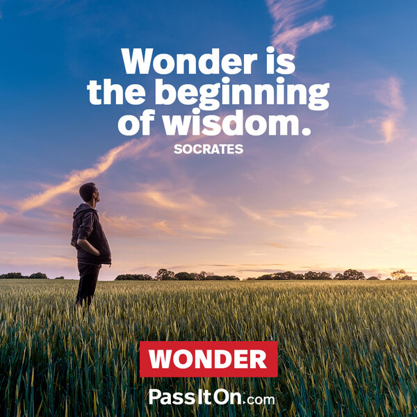 Wonder is the beginning of wisdom. #<Author:0x00007fcdfaf3b900>