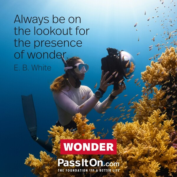 Always be on the lookout for the presence of wonder. #<Author:0x00007fcdfb703e80>