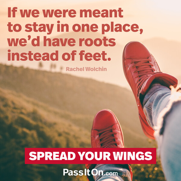 If we were meant to stay in one place, we’d have roots instead of feet. #<Author:0x00007fcdfa766f40>