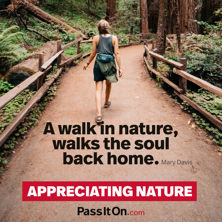 A walk in nature, walks the soul back home. #<Author:0x00007fce08472808>