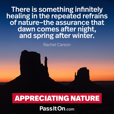 There is something infinitely healing in the repeated refrains of nature – the assurance that dawn comes after night, and spring after winter. #<Author:0x00007fbd591ac1d8>