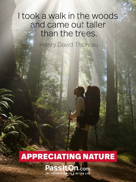 I took a walk in the woods and came out taller than the trees. #<Author:0x00007fce084a5f00>