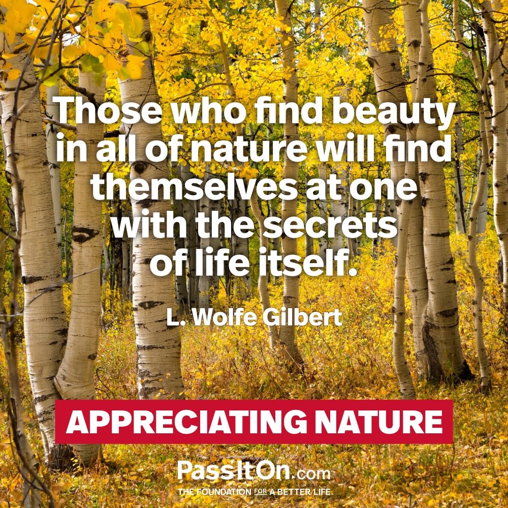 Welcome to PassItOn.com | The Foundation for a Better Life, image size:1000x1000