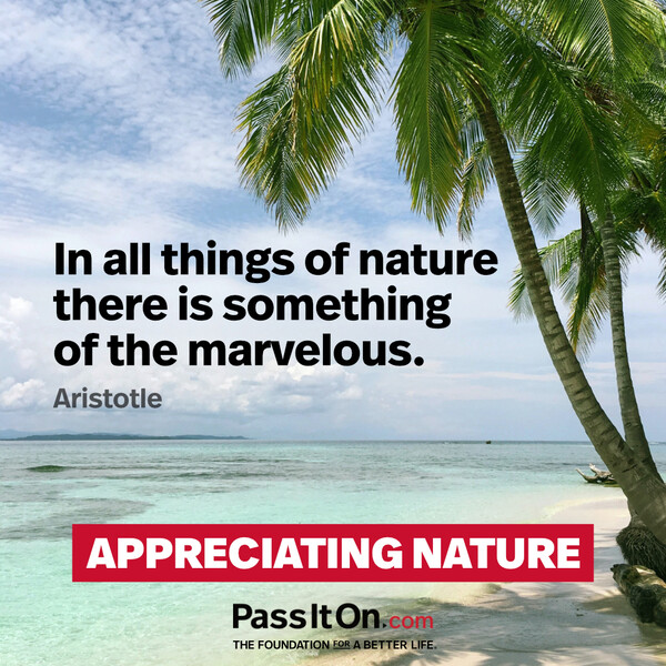 In all things of nature there is something of the marvelous. #<Author:0x00007fcdfbda9898>