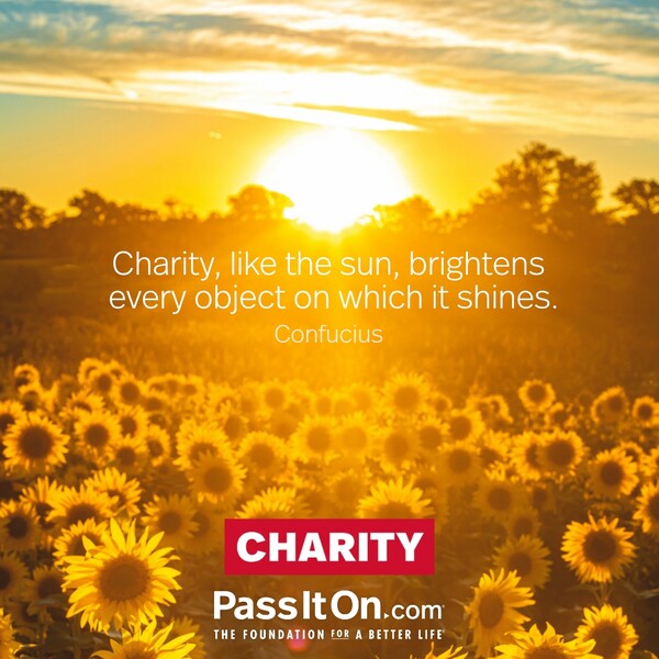 Charity, like the sun, brightens every object on which it shines. #<Author:0x00007fcdfbc46910>